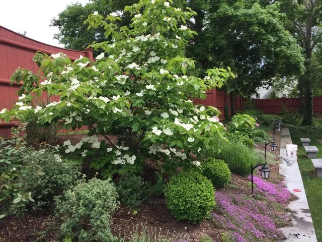 Great Hill Horticultural Services work photo
