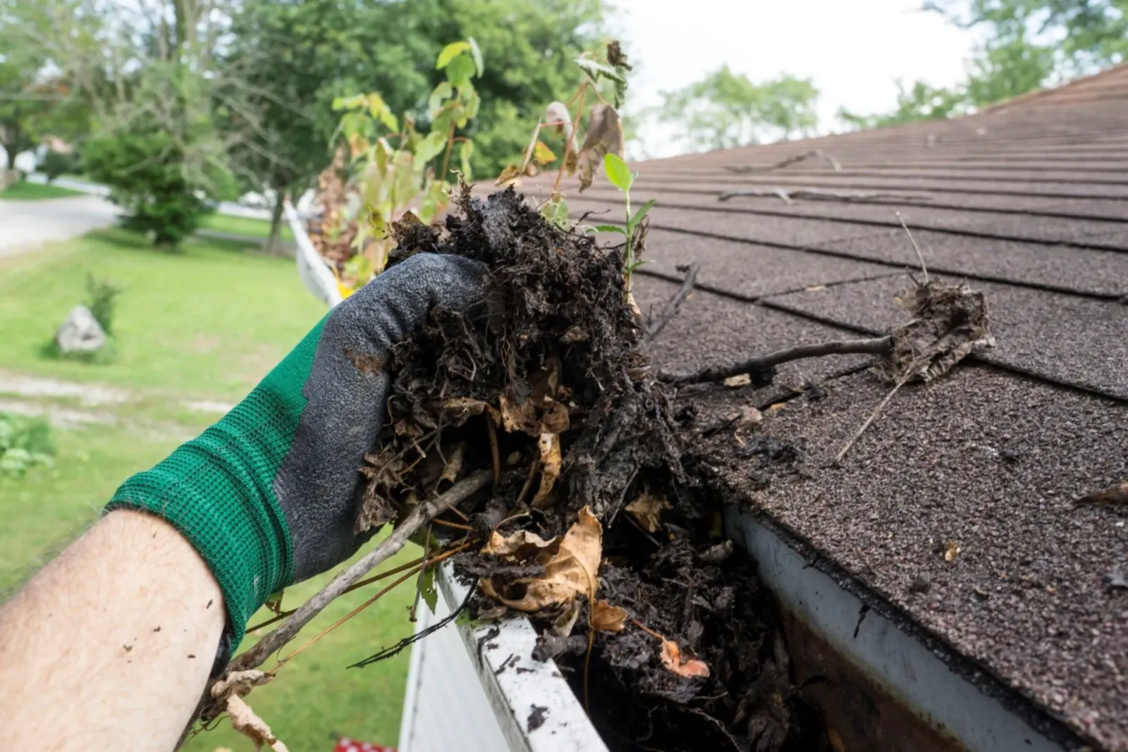 gutter cleaning
