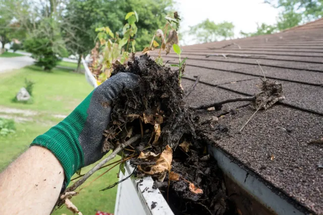 gutter cleaning