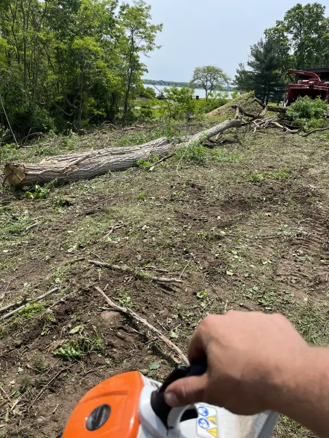 work photo from arborscapetree.com