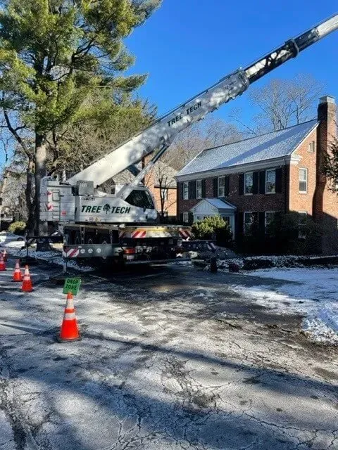 work photo from treetechinc.net