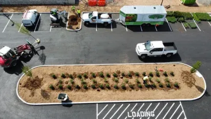 CT landscaper near me