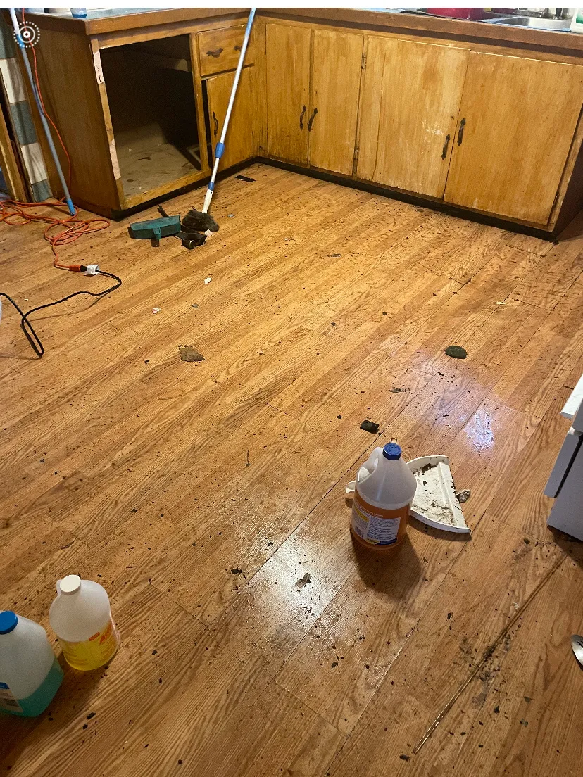 Sandra’s House Cleaning Services LLC