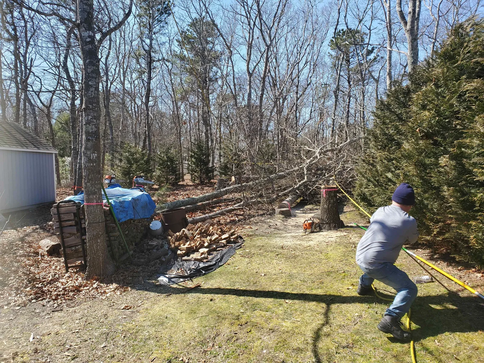 work photo from Google listing