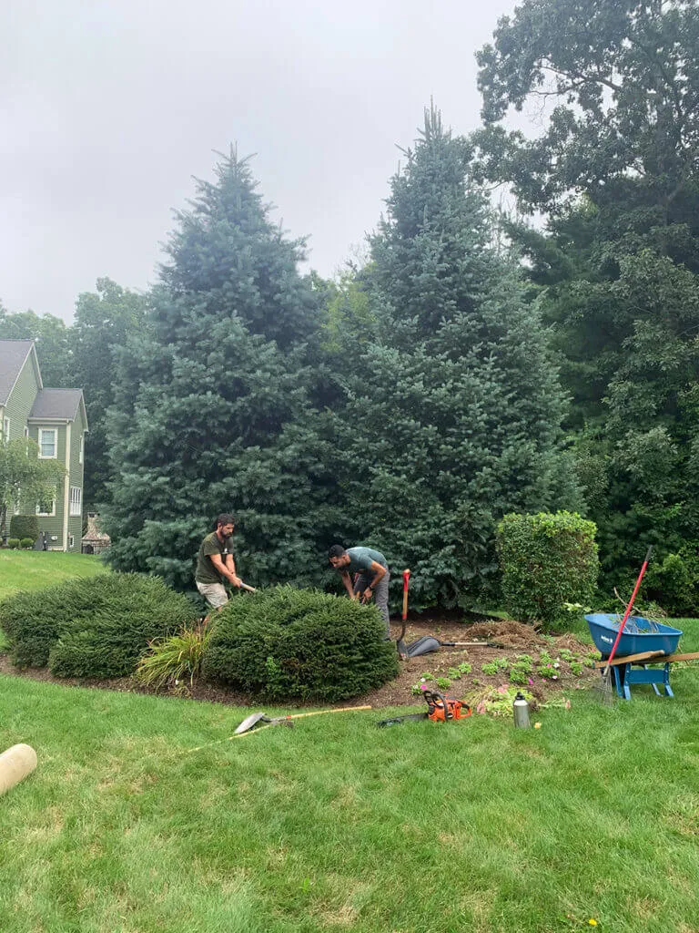 A group of people working in the yard.