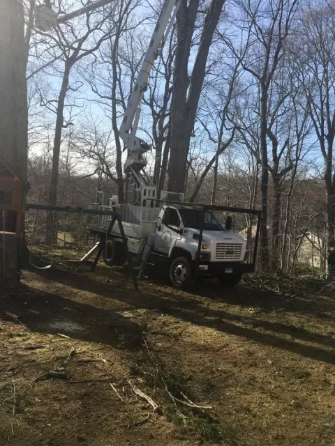 work photo from sandovaltreeservice.com