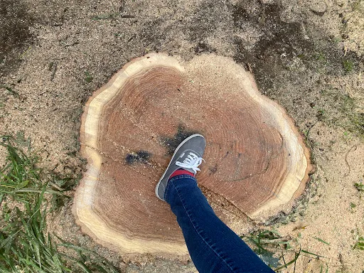 Review photo by Siobhan McConnell