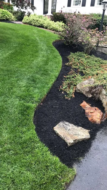 Mass Lawn Pros