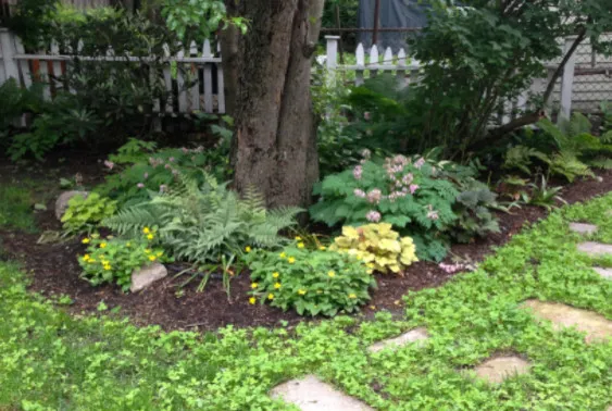 Seth Berman Gardeners researched project photo