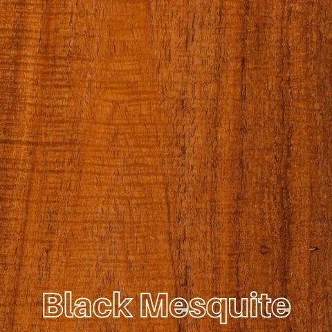 Black Mesquite