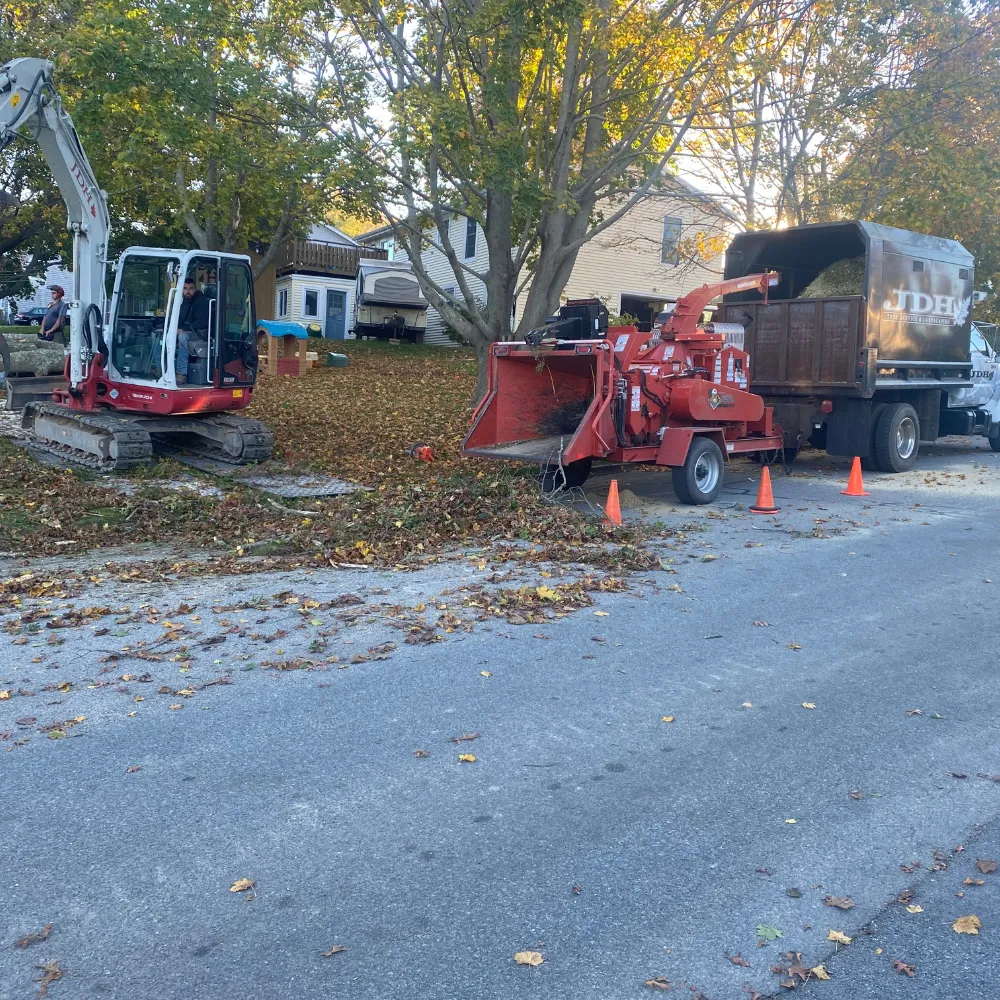 tree removed and mulched