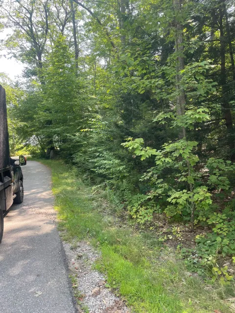 Paved road curves along a tree-lined edge with green foliage and grassy verge. A partial truck is on the left.