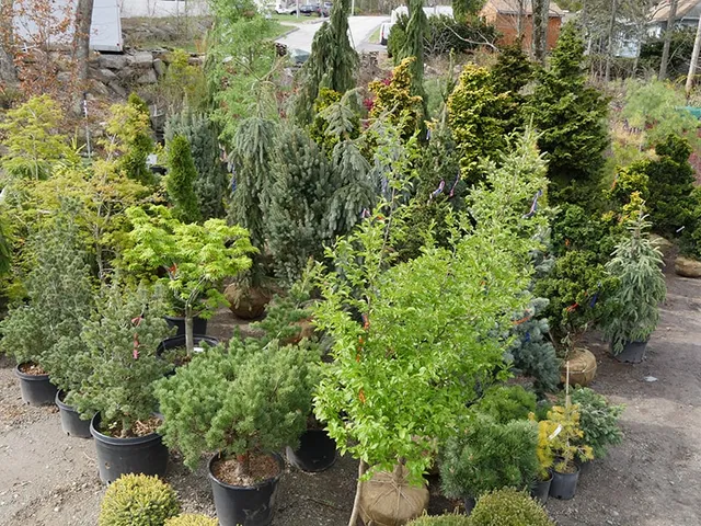 work photo from echobrooknursery.com