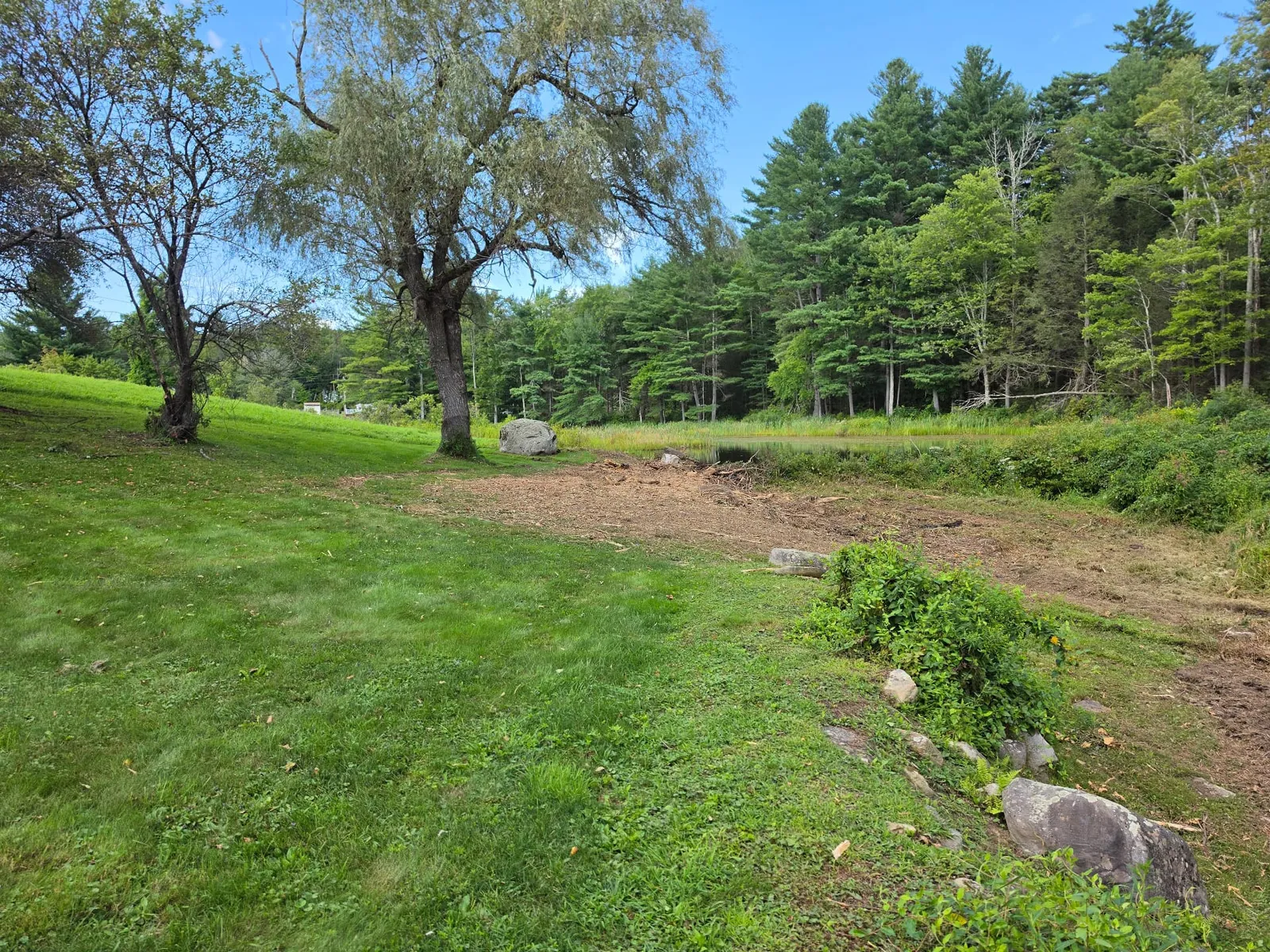 Reclaimed residential property area after selective forestry mulching in Huntington, Massachusetts