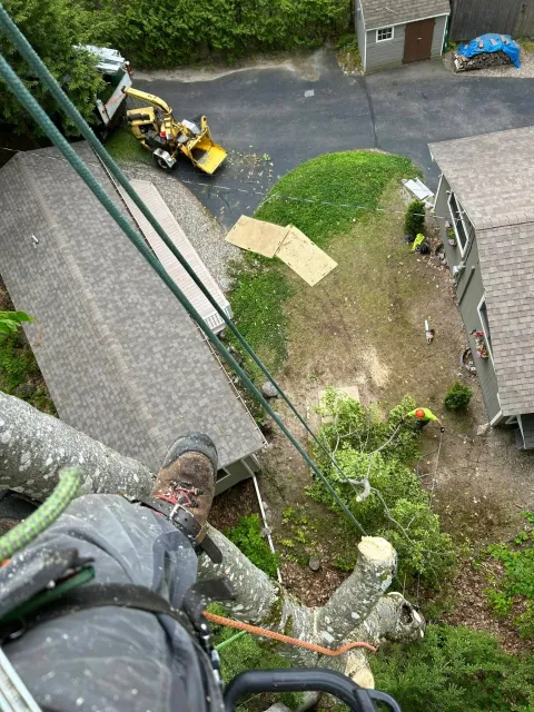work photo from soultreecare.com