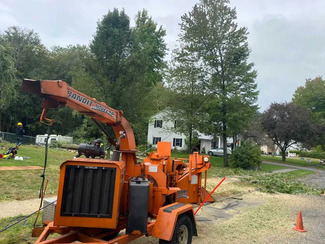 work photo from visionlandsandtreeservicesllc.com