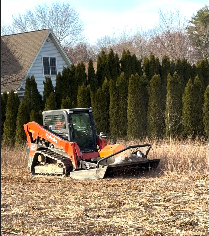 BRUSH CLEARING
