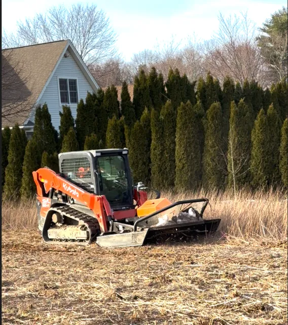 BRUSH CLEARING