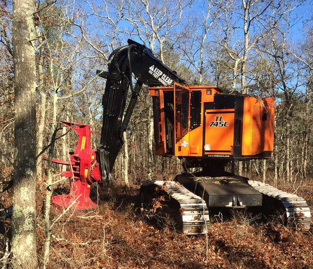 Anderson Timber Harvesting work photo