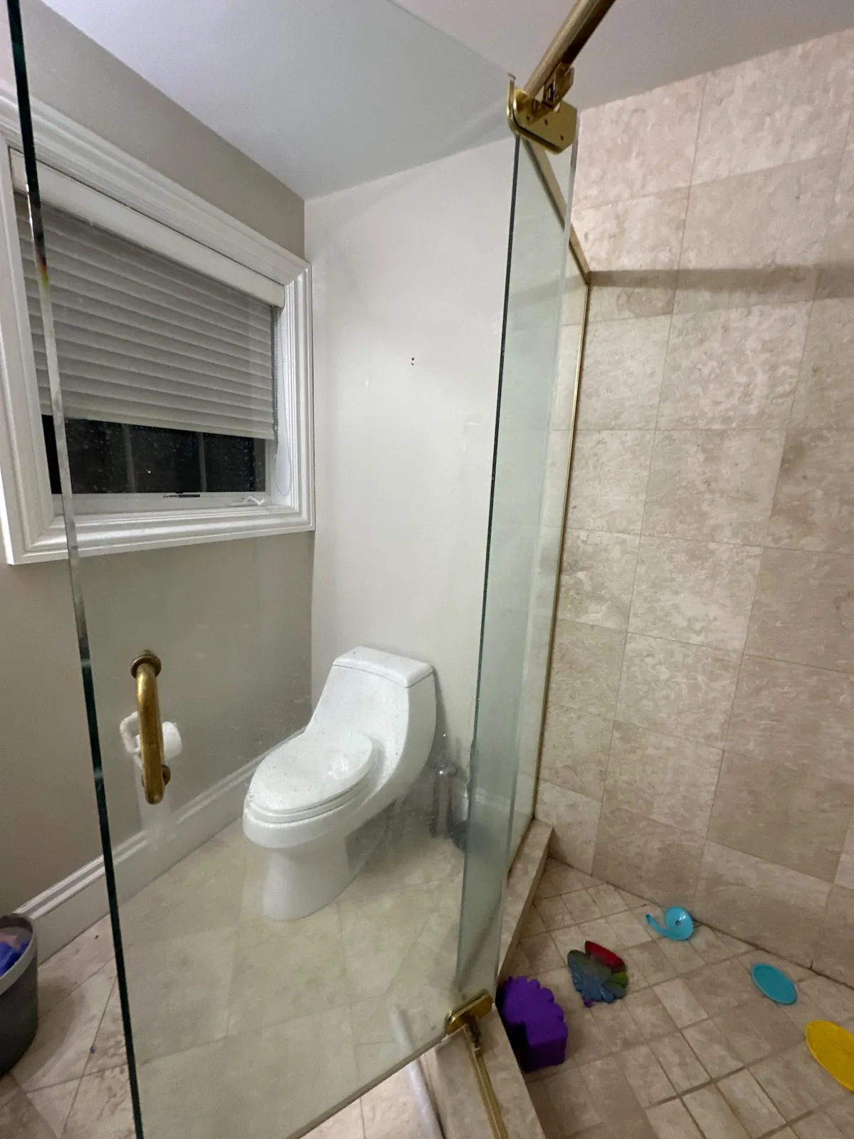 Bathroom toilet area before cleaning