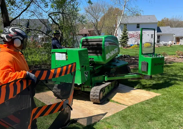 Tree Wise Guys equipment and trucks 1