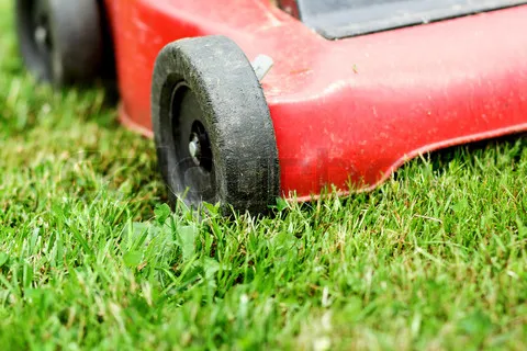 work photo from advanced-lawncare.com