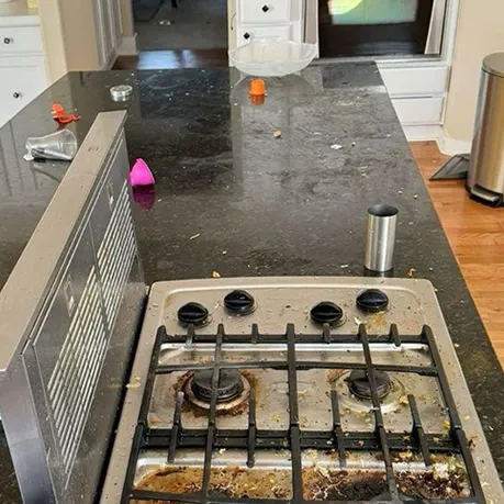 work photo from diascleaning.my