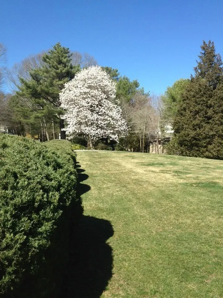 Landscape Service