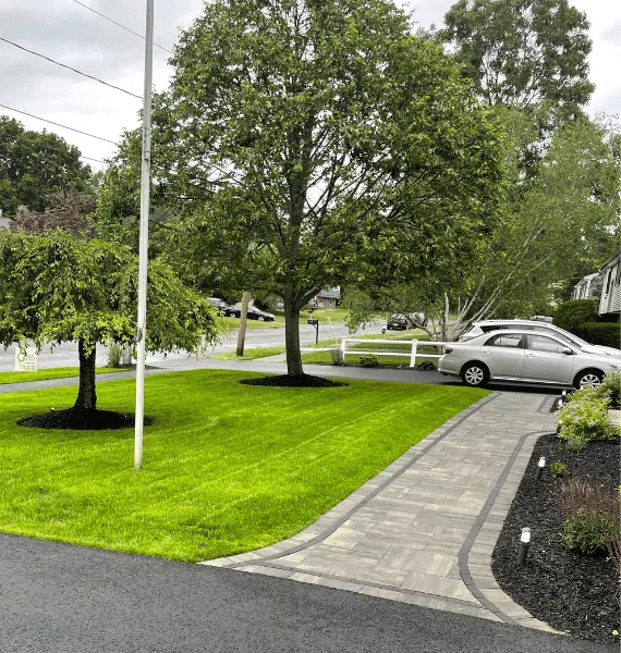 Dream Garden Masonry and Landscape Braintree