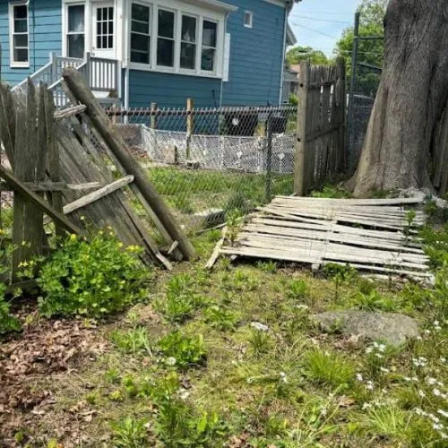 yard wasete removal 2