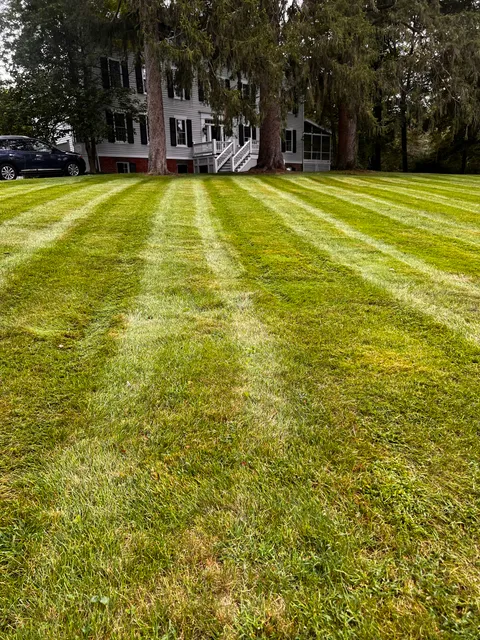Leonel and Sons Landscaping work photo