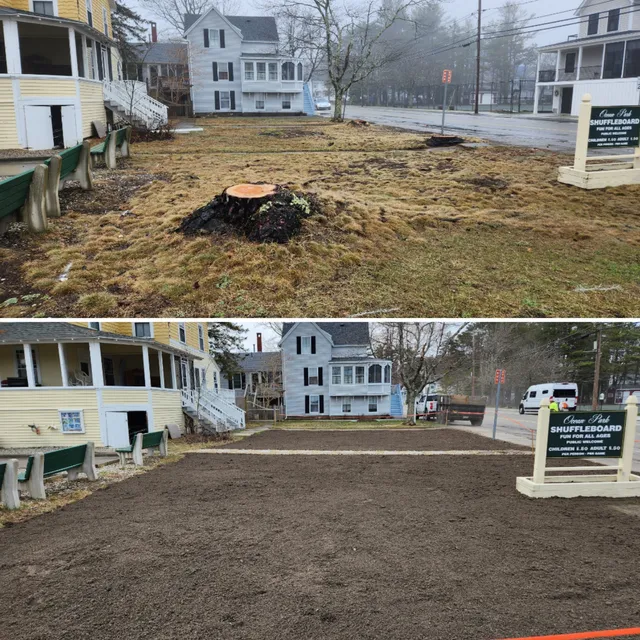 Andy's Stump Grinding Services work photo