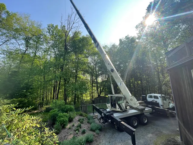 Jeovany's Tree Service work photo