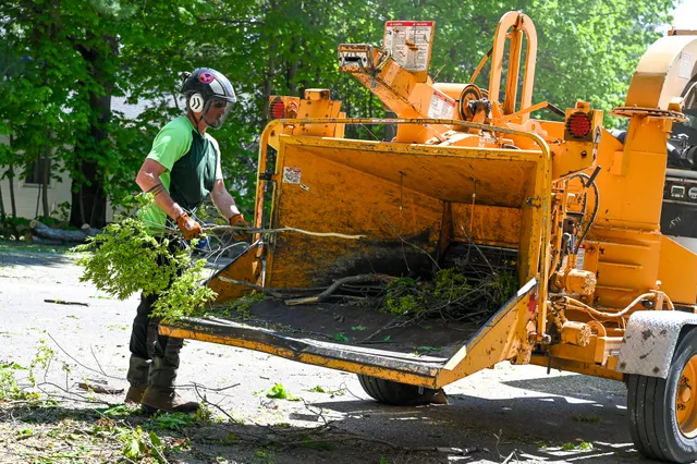 Arbor Care Specialists work photo