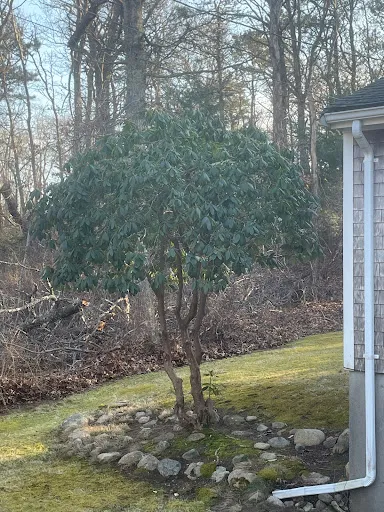 Review photo by Lisa Shields