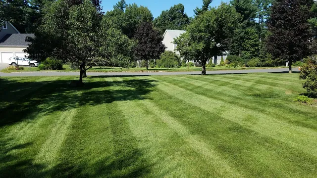Lawn Supremacy work photo