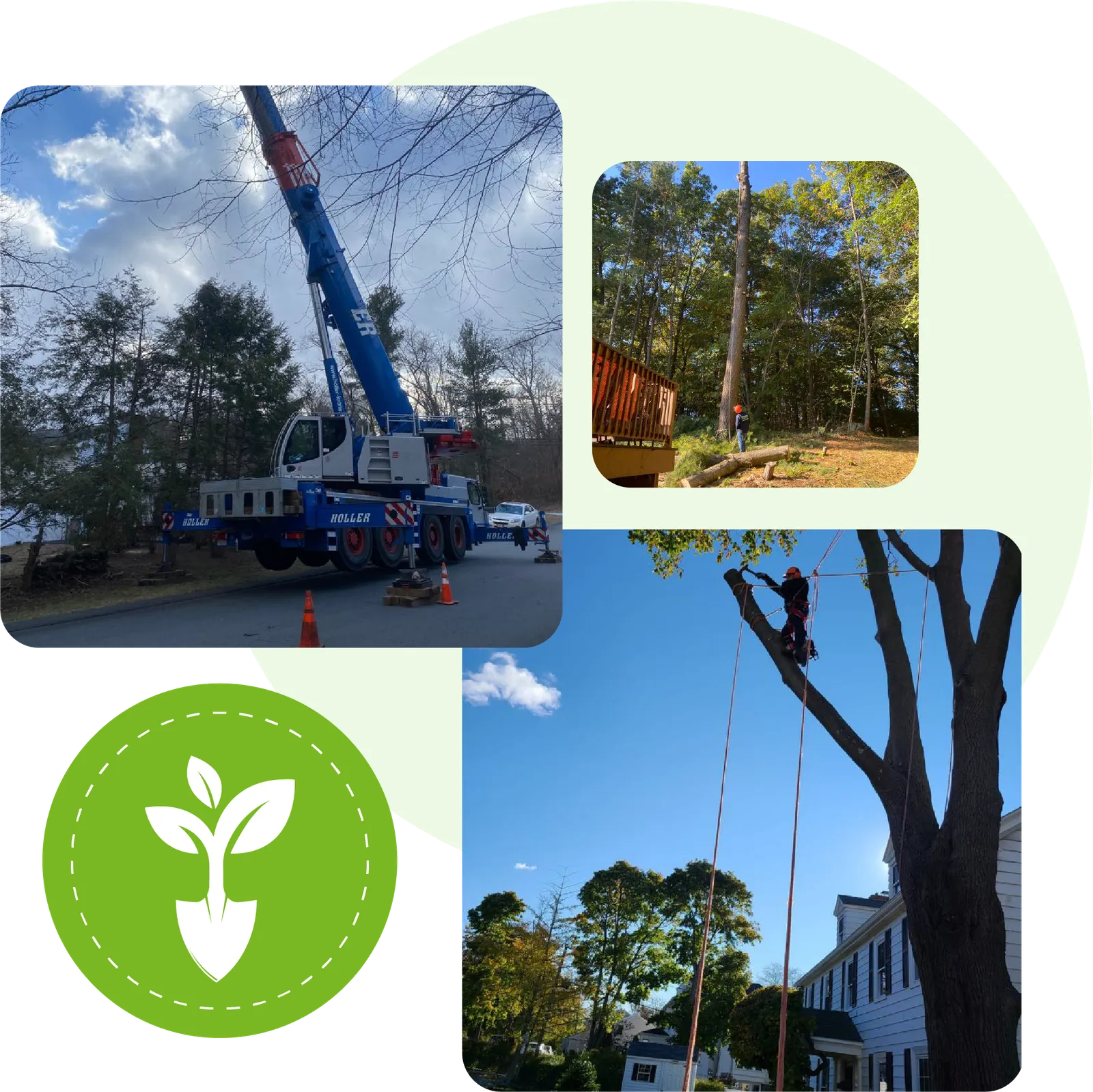 work photo from freddylandscapingma.com