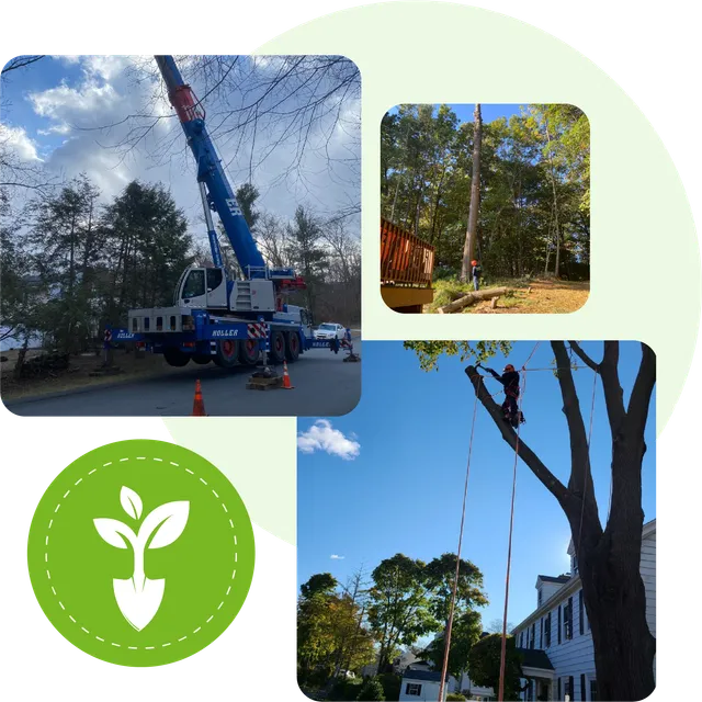 work photo from freddylandscapingma.com