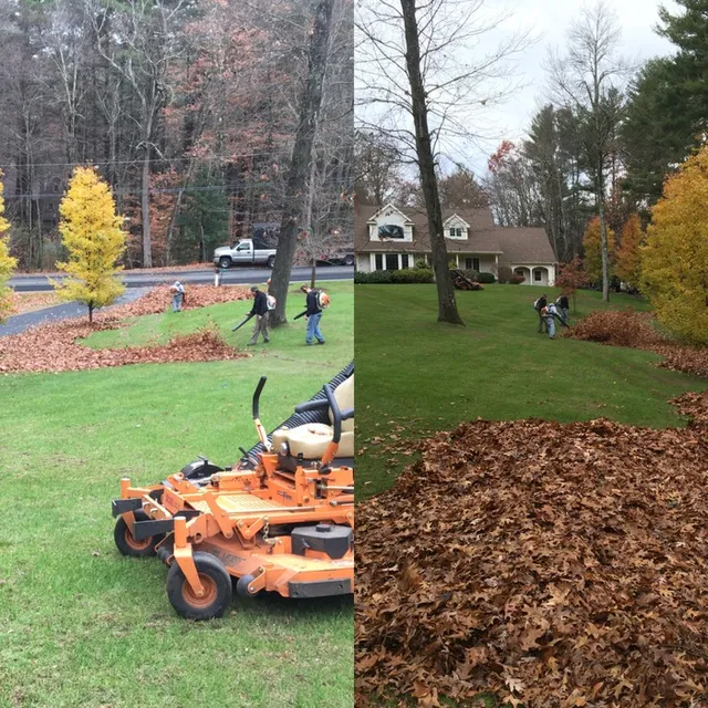 Northeast Earthscapes researched project photo