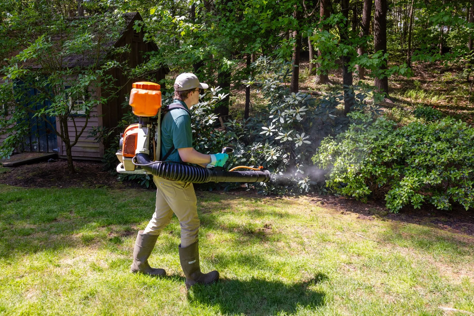 work photo from Google listing