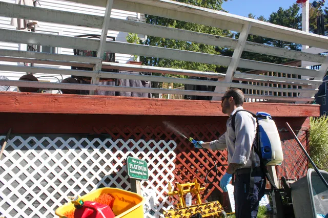 work photo from Google listing