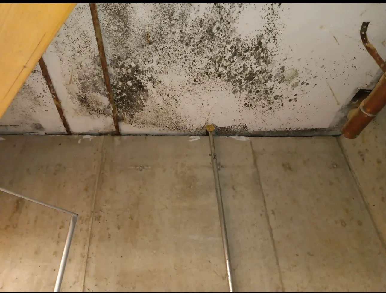 A ceiling with a lot of black mold on it