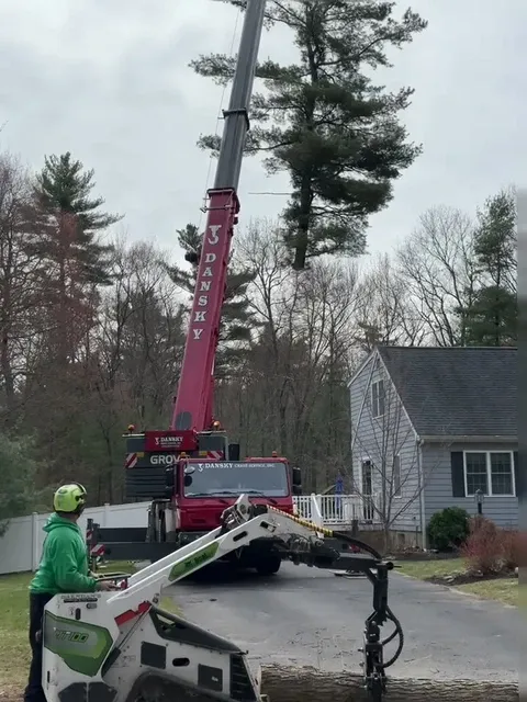 work photo from brendanslandscape.com