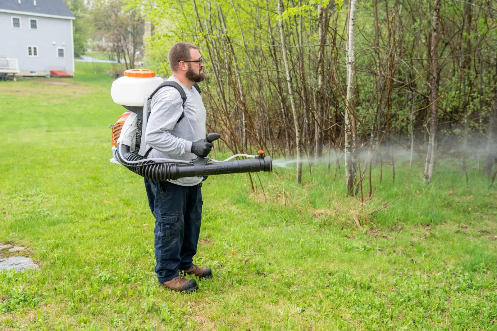 work photo from jensenspestcontrolnh.com