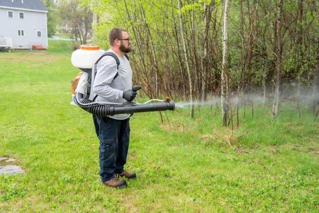 work photo from jensenspestcontrolnh.com