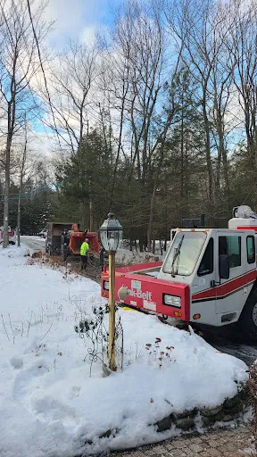 Review photo by Susan Jewett