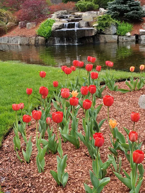 Morin's Landscaping, Inc. work photo