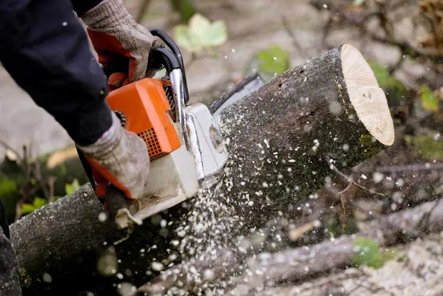 work photo from jaidenlandscaping.com