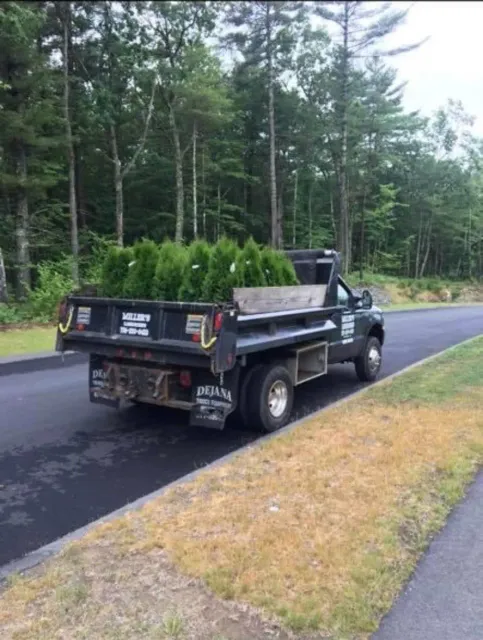 work photo from millertreeandlandscaping.com