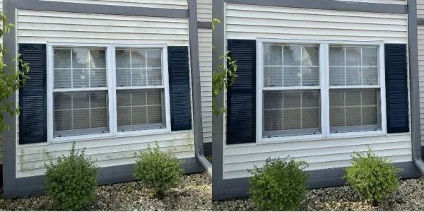 House Soft Washing